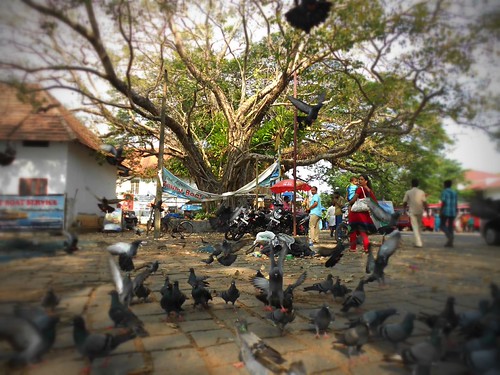 Cochin