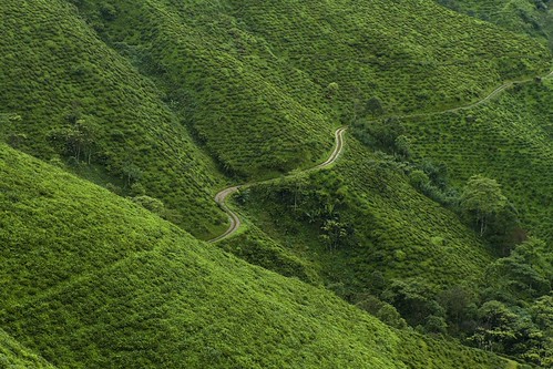 Munnar