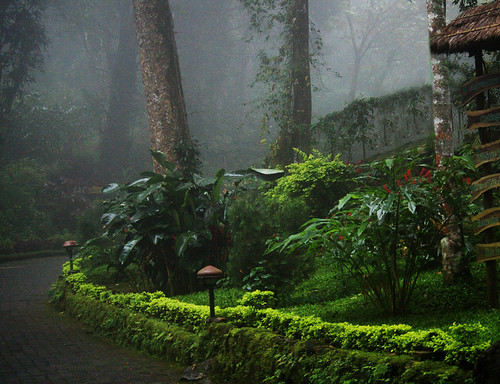 Wayanad