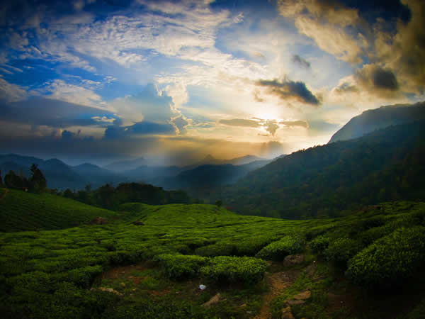 Munnar
